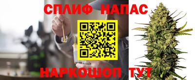 спиды Славгород