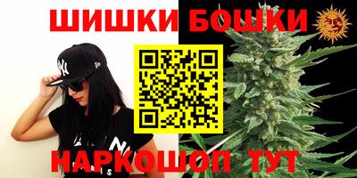 бошки Сланцы