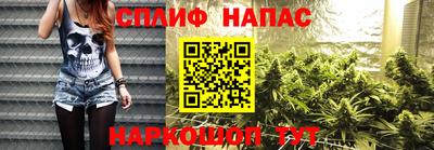 спиды Славгород
