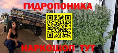 спиды Славгород