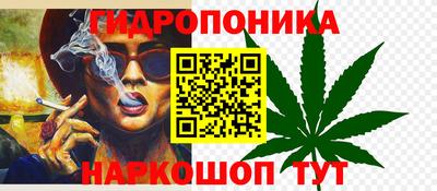 спиды Славгород