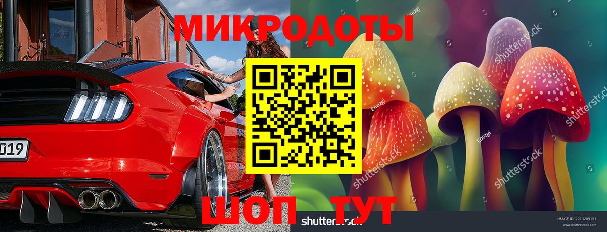 Галлюциногенные грибы мицелий Дальнереченск